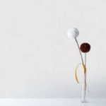 کاغذ دیواری ساده