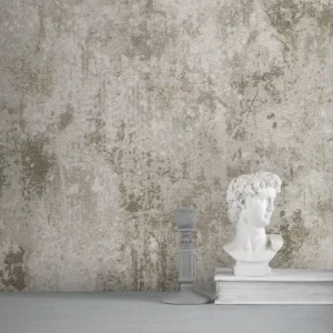 کاغذ دیواری طرح پتینه نقرهای کد ۱۱۰۲۷